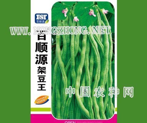百顺源架豆王